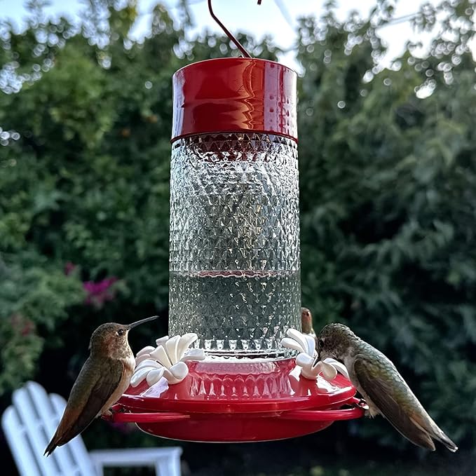 Nature's Way Hanging Glass Hummingbird Feeder for Outdoor Décor, 13 Ounce Capacity Nectar Feeder, Ant Moat, 4 Easy to Clean Flexible Ports, Red