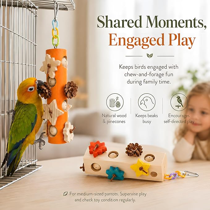 Bird Foraging Toy Parakeet Enrichment Puzzle Parrot Foraging Toys Wooden Blocks with Pine Cones Chew Play for Budgies Cockatiels Conures Quaker Small to Medium Birds