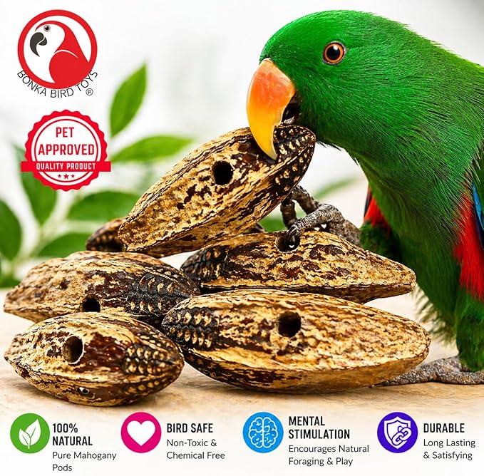 Bonka Bird Toys 3410 Drilled Mahogany Pods Shreddable Foraging Bird Toy with Natural Materials Hanging Cage Toy 9" for Small to Medium Parrots Budgie Cockatiel Conure Chewing Enrichment (Pack of 12)