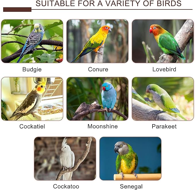 7pcs Set Natural Wood Bird Perches for Cage Wooden Bird Cage Accessories Including Curved Grape Stands Chewing Sticks Platforms Birds Swing Toy for Parakeets Cockatiels Small & Medium Birds