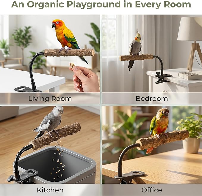 Natural Wood Parrot Perch, Adjustable Clip-On Bird Stand, Flexible Gooseneck Sticks for Conures Cockatiels Lovebirds, Pet Cage Accessories