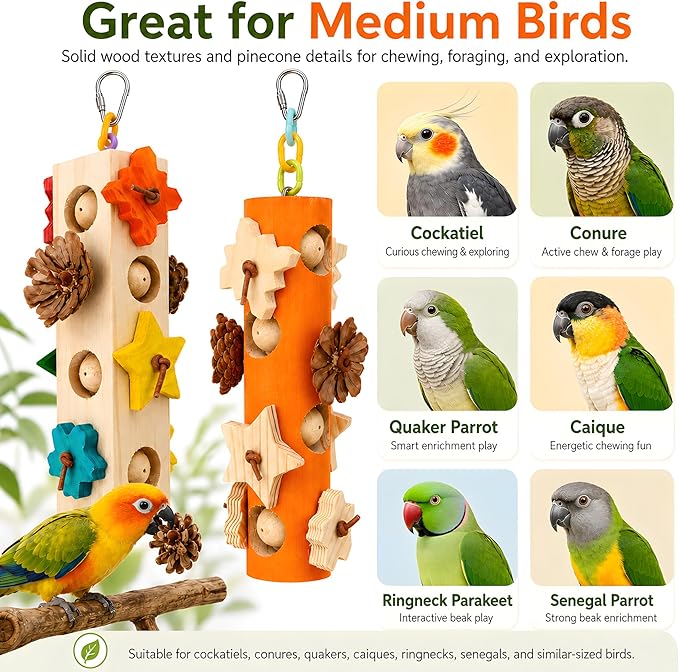 Bird Foraging Toy Parakeet Enrichment Puzzle Parrot Foraging Toys Wooden Blocks with Pine Cones Chew Play for Budgies Cockatiels Conures Quaker Small to Medium Birds