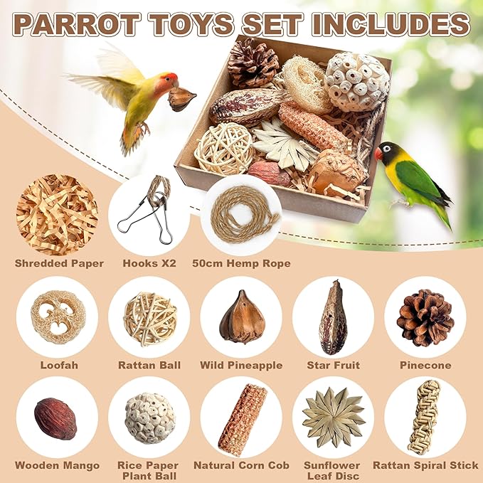 2 in 1 Parrot Toys, Parakeet Foraging Box DIY Hanging String with Comes with 2 Hooks Bird Toy for Parakeets,Cockatiels,Conures,Love Birds Cage Accessories for Small to Medium Birds