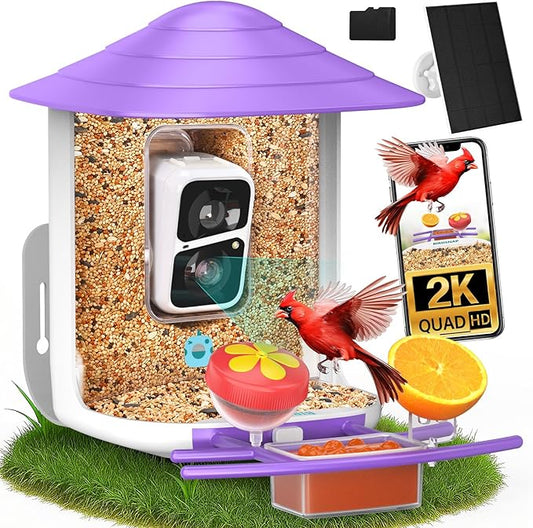 birdsnap® TUC Bird Feeder with Camera 2K HD Live with 32GB Card Auto Detect & Notify AI Identify Camera Birds Feeders Solar Powered Wireless Outdoors Backyard Gift for Mom Dad Birds Lover, 2.4G WiFi