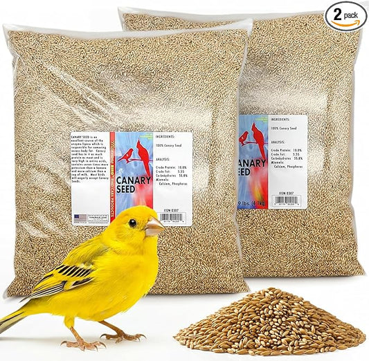 Morning Bird Canary Seed 18 lbs (2-Pack, 9 lbs Each), Nutrient-Rich Bird Seed, Creamy Golden Grain Powerhouse - Supports Healthy Feathers & Strong Bones – Natural Daily Nutrition for All Bird Types