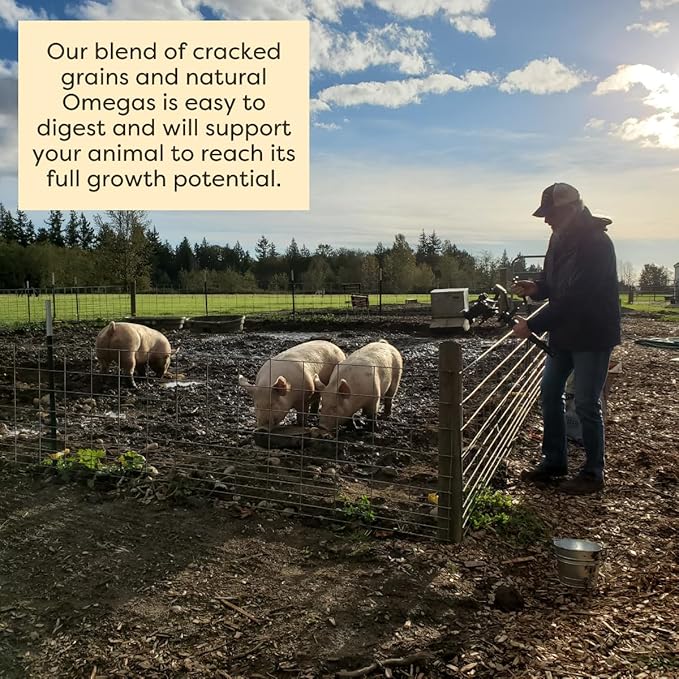 Scratch and Peck Feeds Whole Grain Grower Mash Pig Feed - Corn-Free and Soy-Free - 40 lbs Bag - 16% Protein, Certified Organic and Non-GMO Project Verified Pig Food