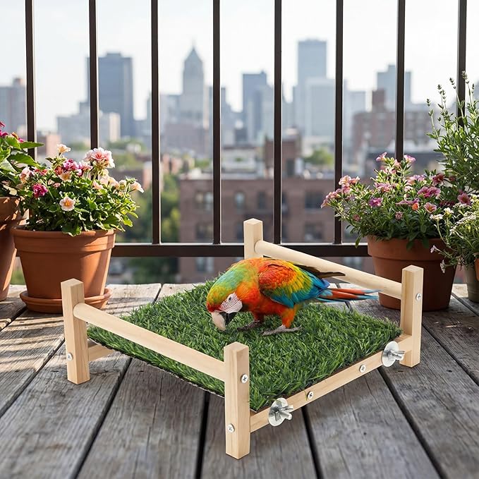 AceOrbit Bird Foraging Bed with Grass Mat 9.06 x 7.87 x 3.94 Inch Parrot Foraging Toy Hammock Bed Wood Frame Easy Install with Hardware Kit for Small Birds Cage Enrichment