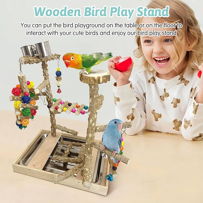 PINVNBY Bird Playground Natural Wood Parrot Perch Stand Bird Play Gym Colorful Ladder Swing Chewing Toys with Metal Tray and 2 Stainless Steel Cups Cage Accessories for Conure Cockatiel Parakeet