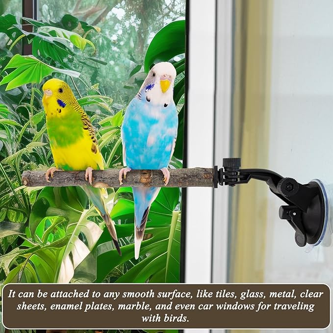 2 Pcs Parrot Perch Stand, Strong Suction Cup Bird Perch, Movable Perch Stand Bird Training Set, for Window Mirror Car Shower Ceramic Tiles Bath Wood Training Perch, for Bird, Cockatoo, Macaw, Parakeet