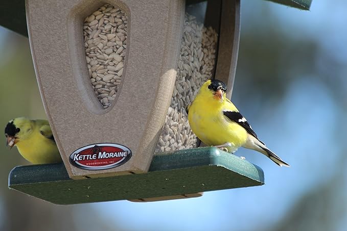 Kettle Moraine Recycled Mini Moraine Hopper Feeder (Green/Chocolate)