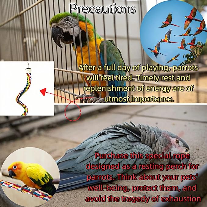 Bird Rope Perches, Parrot Toys, Bungee Rope Perches for Parrots, Cockatiels, Parakeets, Budgie Cages Comfy Birds (Metal Nut) - 48.03 inches