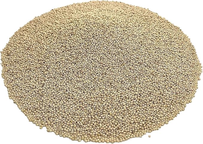 CZ Grain Premium White Millet Proso Seeds - Bulk Seeds, Bird Feed, Wild Bird Food (20 Pounds)