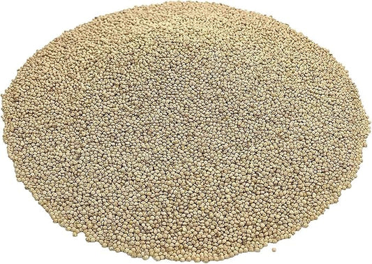 CZ Grain Premium White Millet Proso Seeds - Bulk Seeds, Bird Feed, Wild Bird Food (20 Pounds)