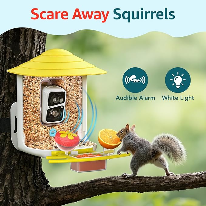 birdsnap® TUC Bird Feeder with Camera 2K HD Live with 32GB Card Auto Detect & Notify AI Identify Camera Birds Feeders Solar Powered Wireless Outdoors Backyard Gift for Mom Dad Birds Lover, 2.4G WiFi