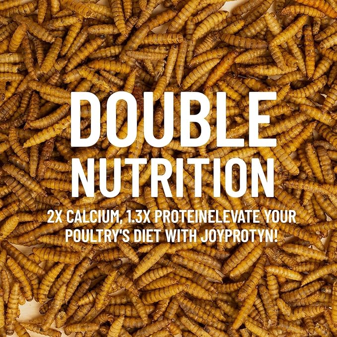 10LB Non-GMO Dried Black Soldier Fly Larvae for Chickens – 85X More Calcium Grubs Than Mealworms for Strong Eggshells & Healthy Growth - High Protein for Chickens, Birds, Ducks, Geese & Pets