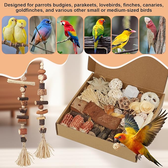 Bird Toys Parrot Natural Foraging Box Parakeet Toys DIY Hanging String for Cockatiels,Conures,Love Birds,and Other Small to Medium Birds Cage Accessories (Large)