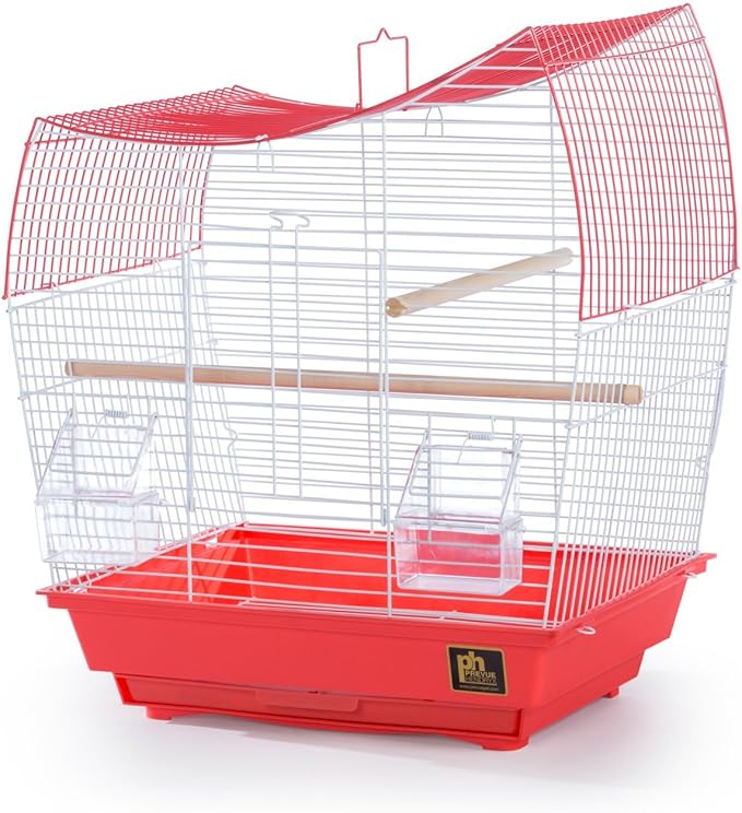 Prevue Pet Products South Beach Wave Top Bird Cage - Ideal for Finches, Canaries, Budgies, and Similarly Sized Birds, Minimal Assembly, Made of Powder-Coated Steel Wire Mesh - Green