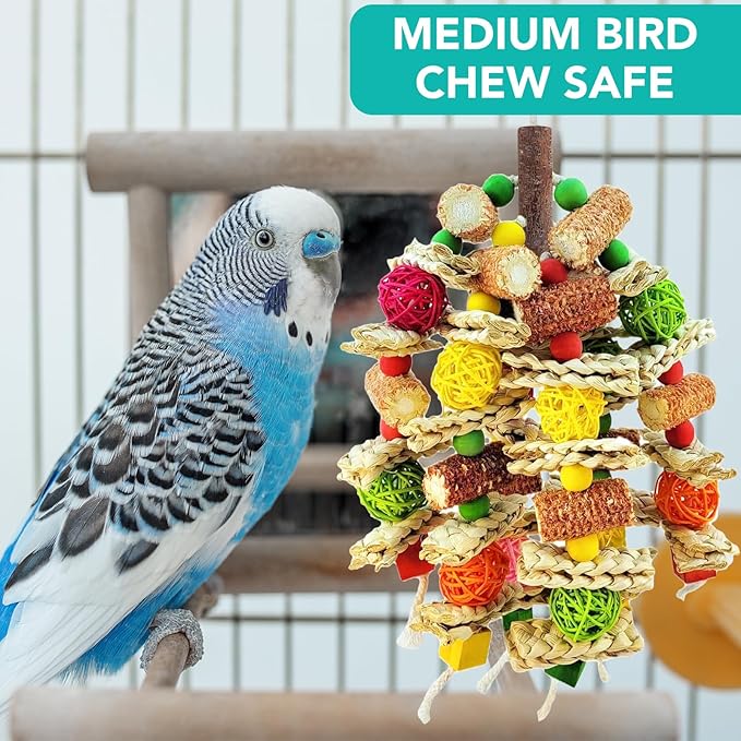 Parrot Chew Toy, Natural Material Bird Foraging Toy for Conures, Quaker Parrots, Medium-Sized Birds - Colorful Hanging Shredding Toy with Woven Ball, Corn Cob and Wooden Beads