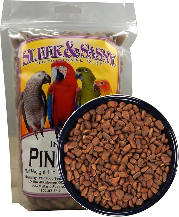 SLEEK & SASSY in-Shell Pine Nuts for Birds (16 oz.)