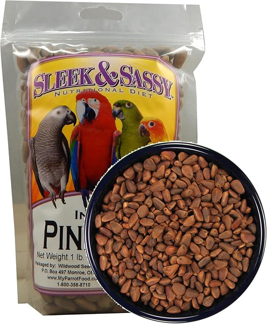 SLEEK & SASSY in-Shell Pine Nuts for Birds (16 oz.)