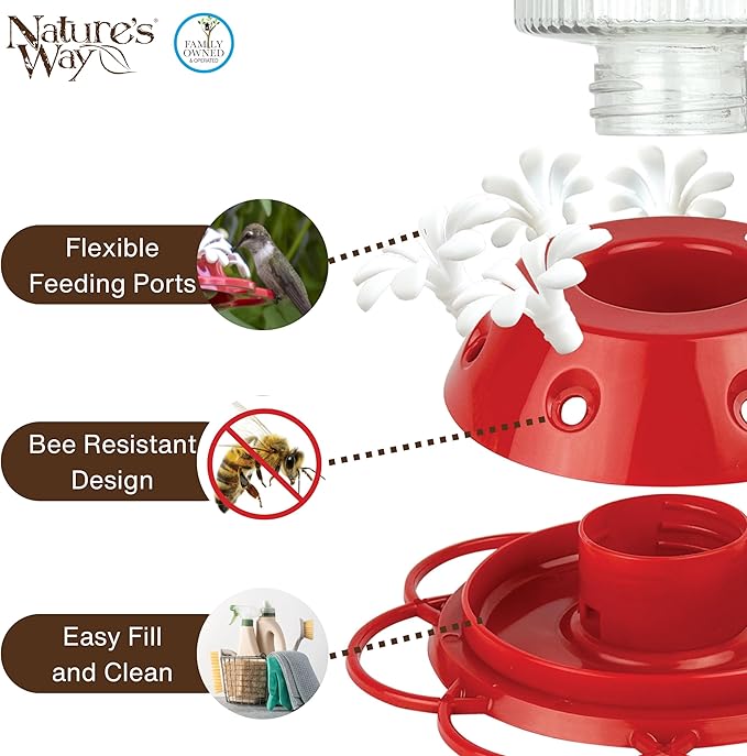 Nature's Way Hanging Glass Hummingbird Feeder for Outdoor Décor, 28 Ounce Capacity Nectar Feeder, Ant Moat, 7 Easy to Clean Flexible Ports, Red