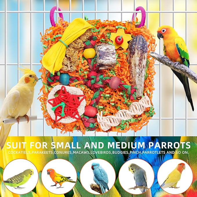 Bird Toys for Small & Medium Parrots - Natural Foraging & Shredding Cage Hanging Toys with Seagrass Mat, Starfruit, Loofah Slices for Budgies, Cockatiels, Lovebirds, Conures (2 PCS)