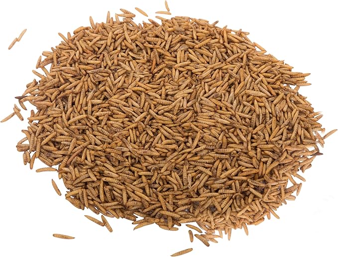 Chubby Dried Black Soldier Fly Larvae | 2 lbs | North America Grown – High Calcium Sustainable Protein Snack for Chickens, Laying Hens, Wild Birds & Reptiles