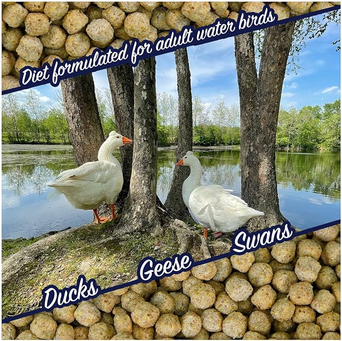 Natural Waterscapes Waterfowl Feed (5 lb) Floating Duck Food | for Wild Ducks, Pet Ducks, Geese, Swans