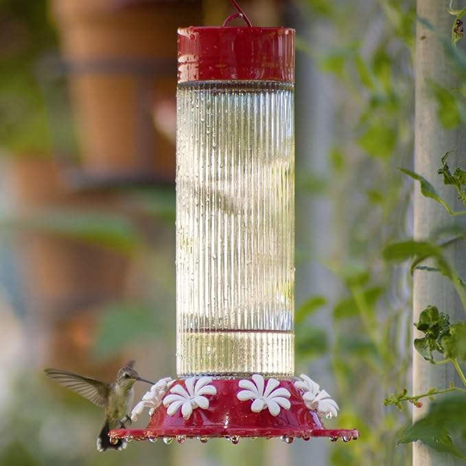 Nature's Way Hanging Glass Hummingbird Feeder for Outdoor Décor, 28 Ounce Capacity Nectar Feeder, Ant Moat, 7 Easy to Clean Flexible Ports, Red