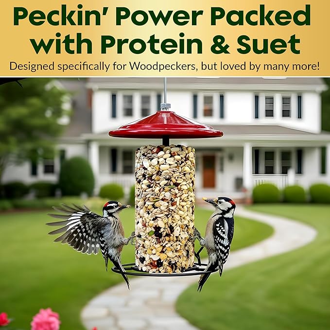 Woodpecker Bird Seed Cylinders with Hole – Premium Woodpecker Food Blend with Sunflower Chips, Peanuts & Suet – Natural High Energy Bird Seed, No Filler, No Shell, No Mess – USA Made (4" x 7.75")