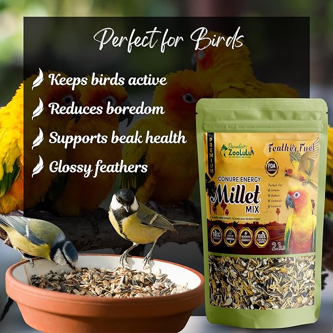 Danodia's Zoolulu Premium Conure Energy Millet Mix (450g/1 lbs) | Bird Food Blend for Conures, Quakers, Cockatiels & Lovebirds | Daily Healthy Nutrition