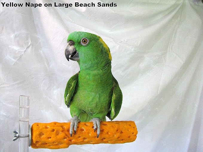 Polly's Beach Sands Nail Trimming Bird Cage Perch for Parakeets, Cockatiels, Amazons, Grays, Cockatoos, Macaws, eclectus and Many Other Birds (Large, Variety)