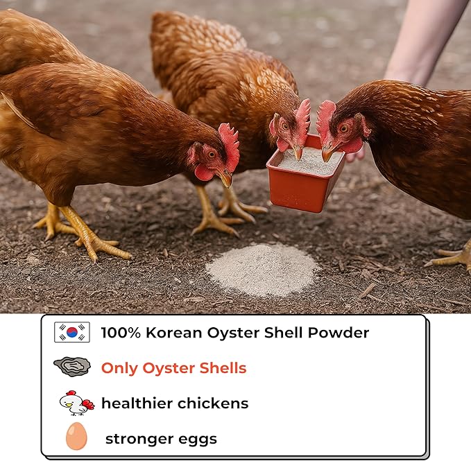 | Oyster Shell Flour 1lb – Finely Ground Calcium Material for Chickens, Ducks, Birds, Reptiles, Amphibians, and More – Crushed Oyster Shell Alternative | 굴껍질가루 (1lb)