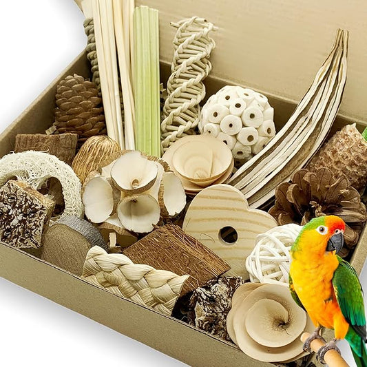 30PCS Natural Foraging & Chew Parrot Toy,Shredding Box for Parakeets, Cockatiels, Conures & Lovebirds and Other Small to Medium Birds (Medium)