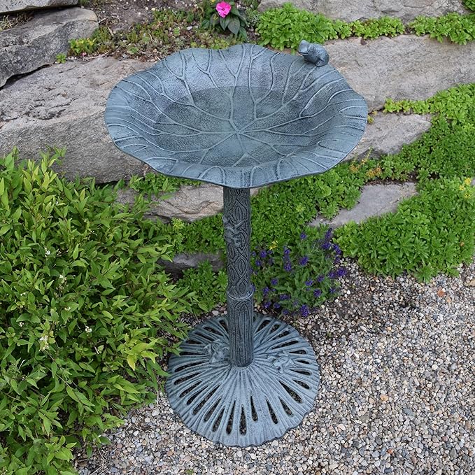Oakland Living Frog Bird Bath, Verdi Grey