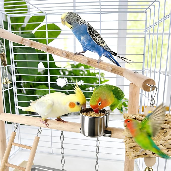 Small Bird Playground Stand, Natural Wood Parrot Stand Playground with Removable Tray, Feeder Cups, Ladder, Swing & Chew Toys for Cockatiel, Conure, Parakeet