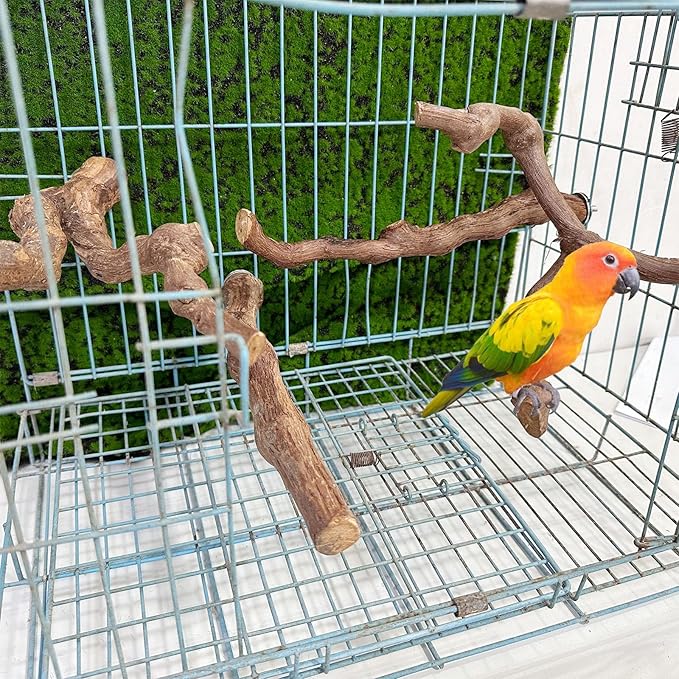 4-Piece Bird Perch - Natural Grapevine Stick Swing Chewing Toys for Parrot Cages, Cockatiels, Parakeets, Finches