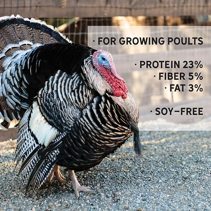 New Country Organics | Turkey Grower Feed 40 lbs I Turkey Feed for Jakes and Jennies | Soy-Free | 23% Protein | Certified Organic and Non-GMO Turkey Food