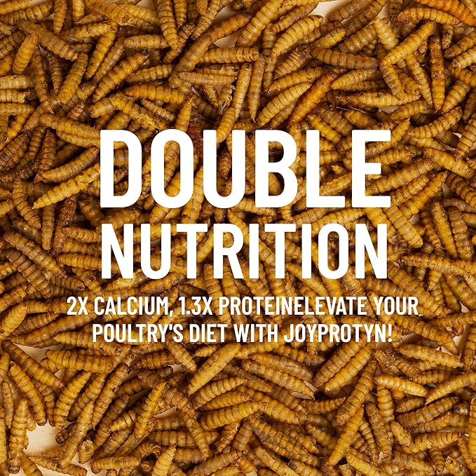 5LB Non-GMO Dried Black Soldier Fly Larvae for Chickens – 85X More Calcium Grubs Than Mealworms for Strong Eggshells & Healthy Growth - High Protein for Chickens, Birds, Ducks, Geese & Pets