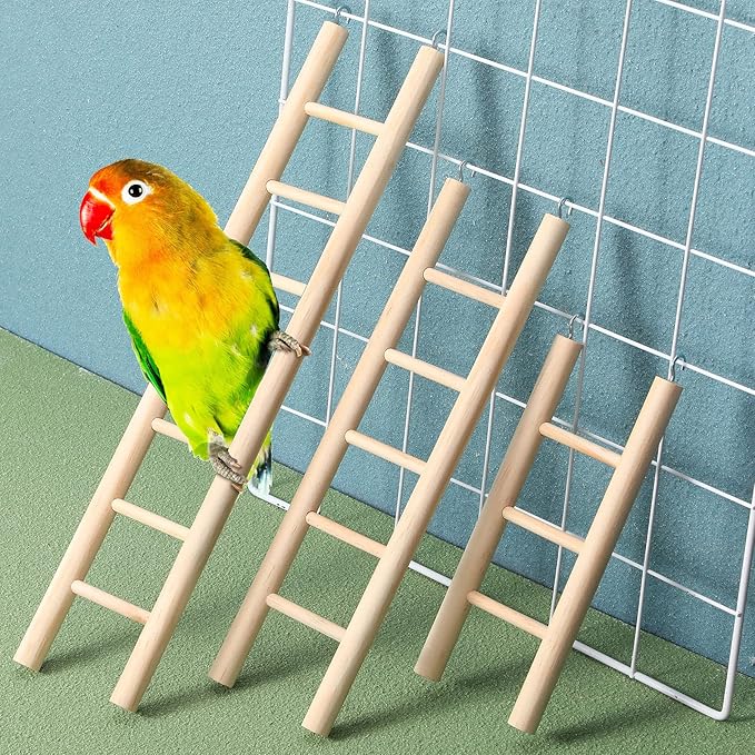 Kigeli 6 Pcs Wood Bird Ladder for Cockatiels, Small Hanging Bird Ladder for Cage, Parrot Step Hanging Climbing Toys for Pets Parakeets, Cockatoo and Lovebirds