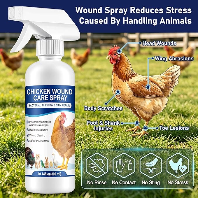 Chicken Wound Spray, Poultry Wound Wash, No Rinse, No Contact, for Cuts,Stabs,Abrasions and Foot Abscesses, Safe for All Animals, 300ml