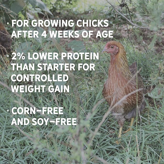 New Country Organics | Grower Feed for Growing Broilers, Pullets and Cockerels | Soy-Free and Corn-Free | 19% Protein | Certified Organic & Non-GMO | 40 lbs