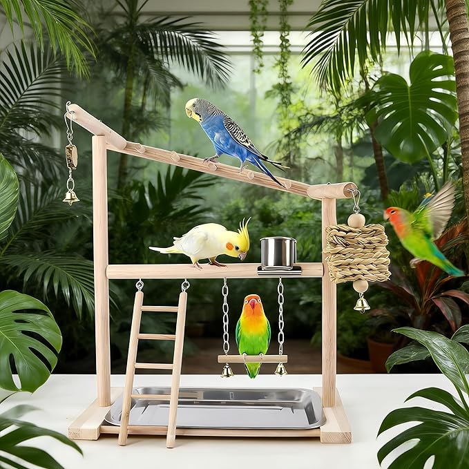 Small Bird Playground Stand, Natural Wood Parrot Stand Playground with Removable Tray, Feeder Cups, Ladder, Swing & Chew Toys for Cockatiel, Conure, Parakeet