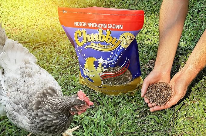 Chubby North American Grown Dried Mealworms | 7.5 lbs | Non-GMO High-Protein Treats for Chickens, Ducks & Wild Birds – Sustainable Chicken Feed