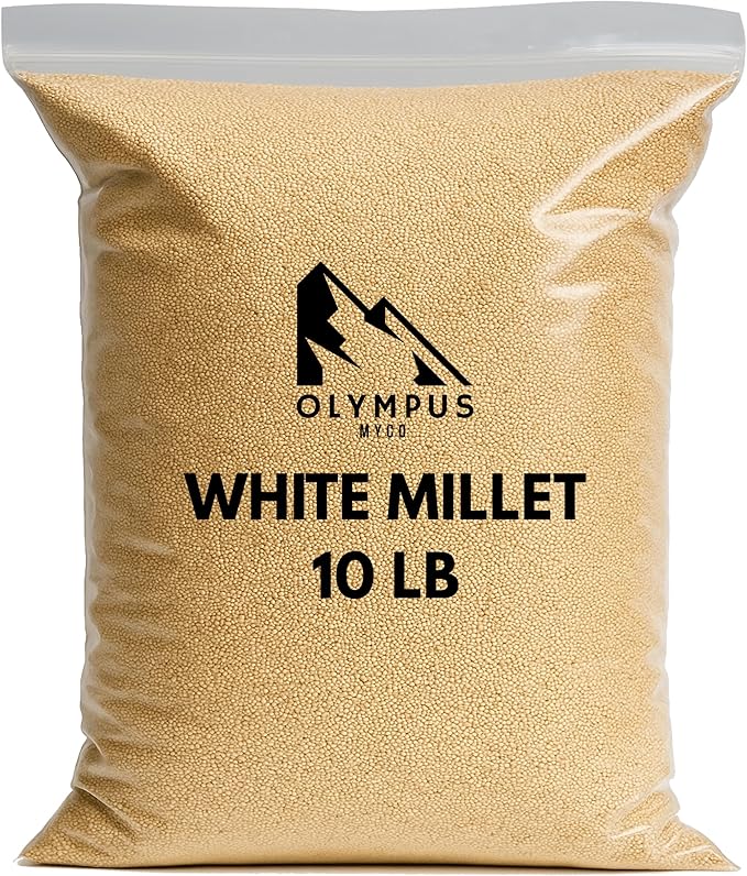 Olympus Myco White Proso Millet Seed, All-Natural Non-GMO Premium Wild Bird Food for Finches, Doves, Songbirds, Buntings & More (10 lb)