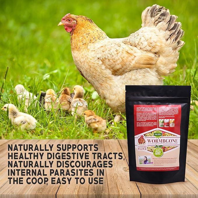 Premium Chicken Nesting Herbs (4 lb) - Naturally Keep A Clean Coop Your Hens Will Love – Backyard Chicken Supplies WormBGone