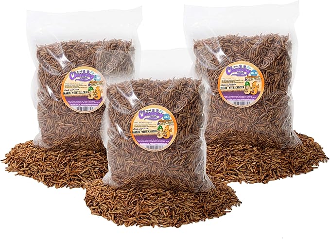 Chubby Mix Mealworm & Black Soldier Fly Larvae | 6 lbs | Non-GMO High-Protein Dried Insects for Chickens, Ducks & Wild Birds – Calcium-Rich Chicken Treats