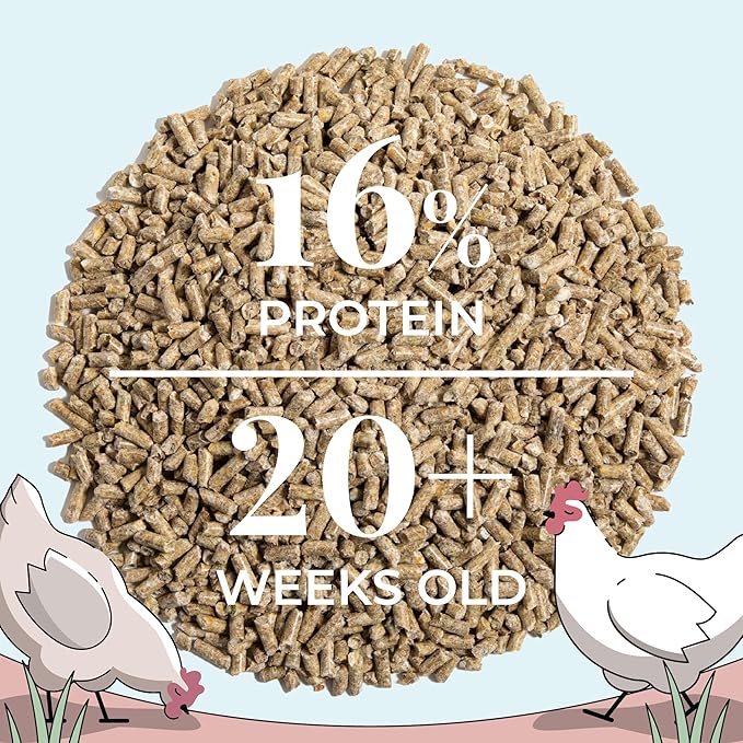 Mile Four Organic Chicken Feed (46 lbs) Layer Pellet, Non-GMO, USA Grown, 16% Protein, Corn-Free, Soy-Free, Non-Medicated Feed for Chickens