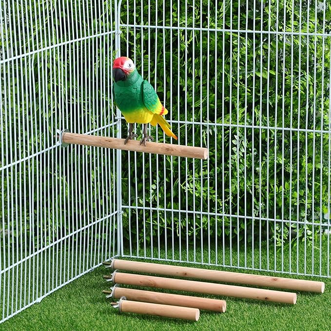 Angoily Dowel Wood Bird Perch Stand Set, Parakeet Perches, 5Pcs 4, 6, 8, 10, 11 Inch Parrot Stand Rods for Cockatiels Conures, Paw Grinding Stick with Metal Wing Nuts, Bird Cage Accessories