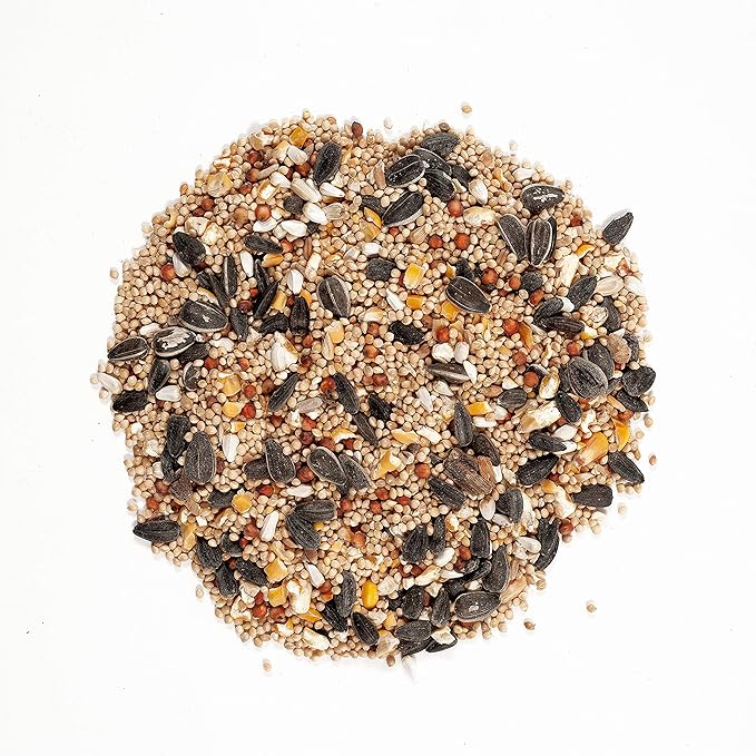Wagner's Farmer's Delight Wild Bird Food with Cherry Flavor Eastern Regional Wild Bird Food Bundle (20 lbs Each)